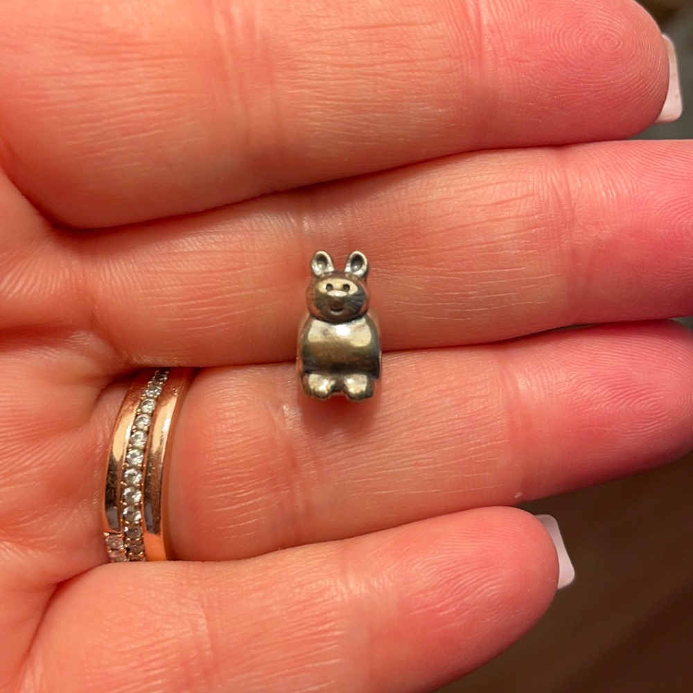 Pandora charm